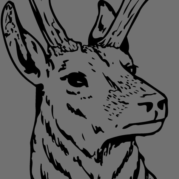 DEER023 Thumbnail