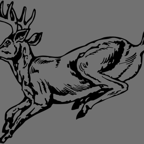 DEER027 Thumbnail