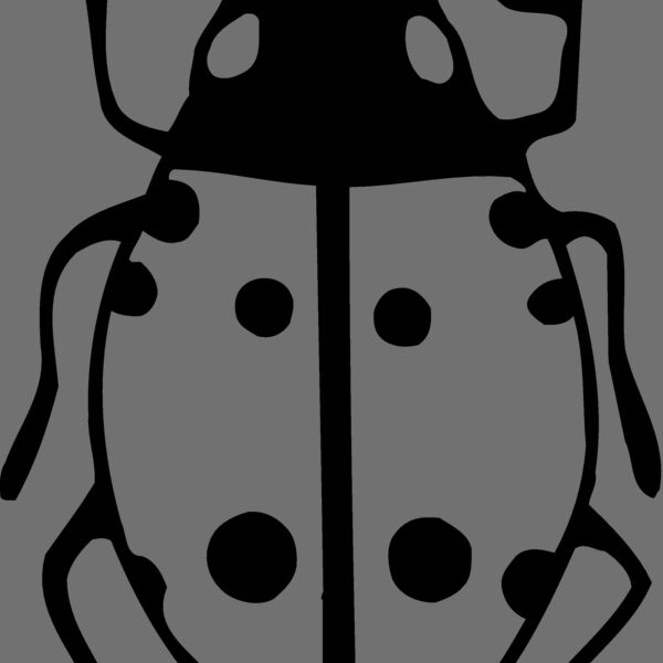 BEETLE03 Thumbnail