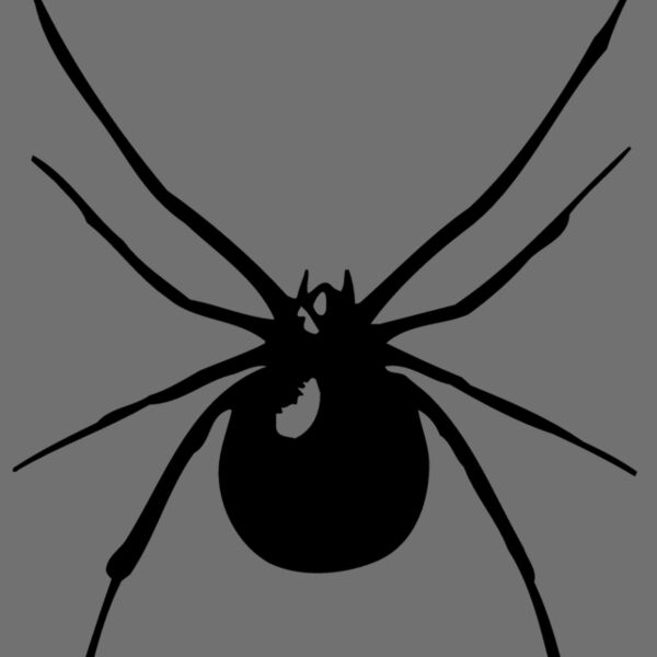 SPIDER03 Thumbnail
