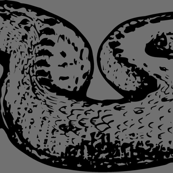 SNAKE018 Thumbnail