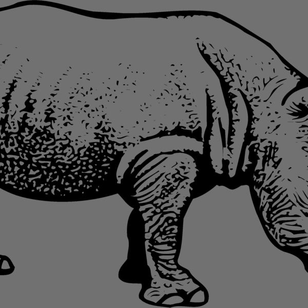 RHINO001 Thumbnail