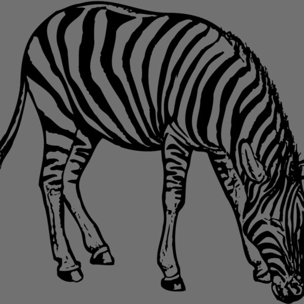 ZEBRA001 Thumbnail