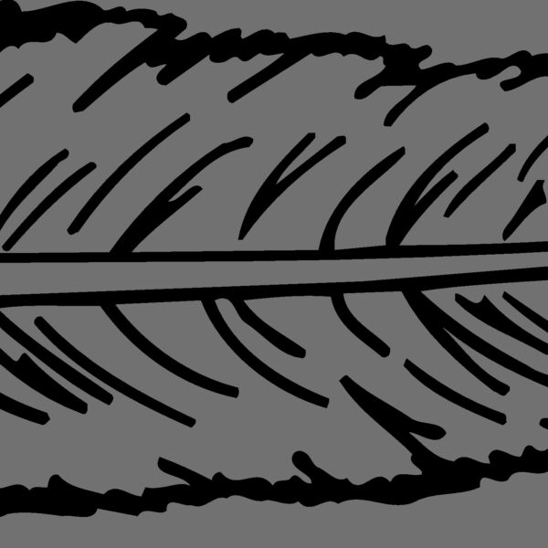 FEATHER Thumbnail