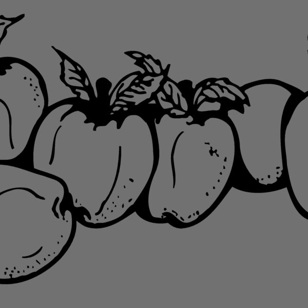 FRUIT029 Thumbnail
