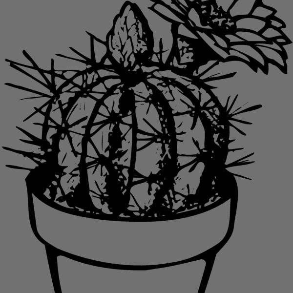 CACTUS01 Thumbnail