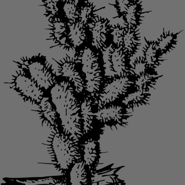 CACTUS09 Thumbnail