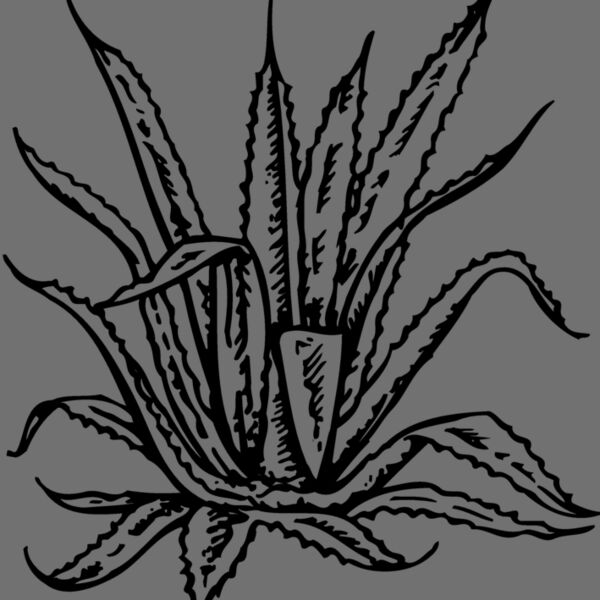 PLANT02 Thumbnail