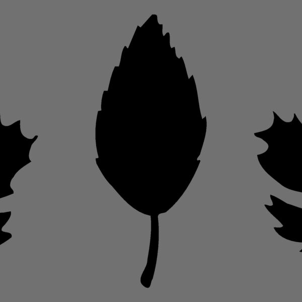 LEAF001 Thumbnail