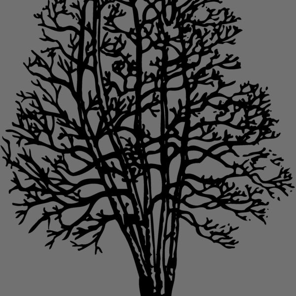 TREE0023 Thumbnail
